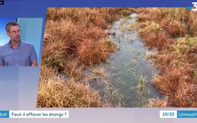 Reportage France 3 Limousin consacré à la question des effacements des plans d’eau en Limousin le lundi 26 juin 2023