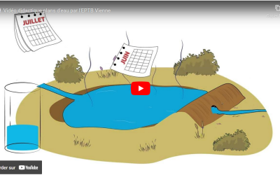 Découvrez les impacts des plans d’eau dans notre vidéo informative