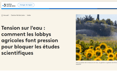 Études HMUC – article de presse