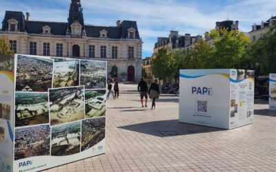 Semaine de la Résilience : un territoire mobilisé