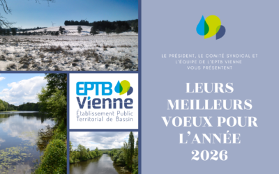 Meilleurs vœux 2026