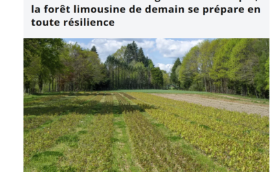 Eau et forêt