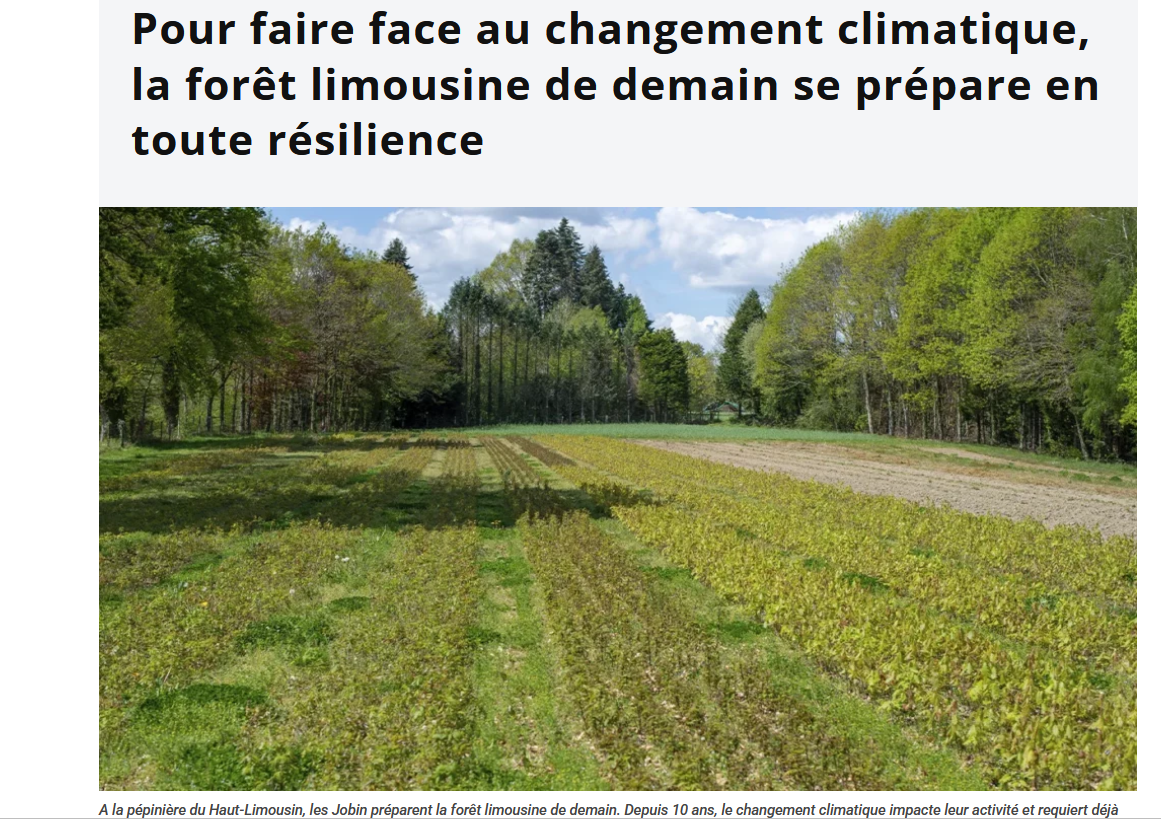 Eau et forêt - Établissement Public Territorial du Bassin de la Vienne