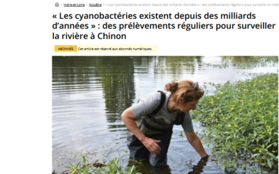 Le suivi des cyanobactéries